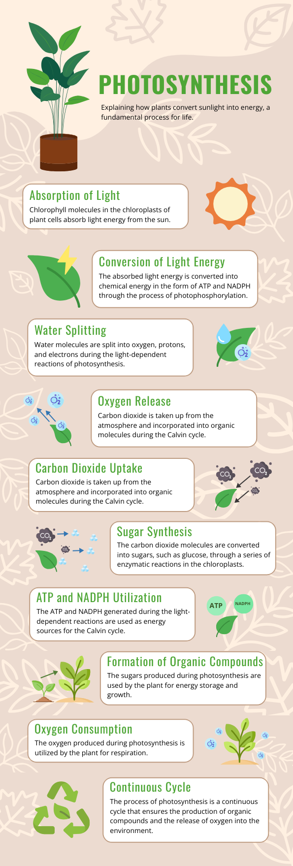 Block pattern process infographics